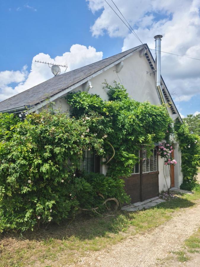 "Gite Les Glycines" Linge Inclus Proche Centre-Ville Blois Esterno foto